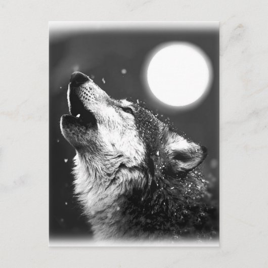 Wolf Howling auf dem Mond Postkarte (Vorderseite)