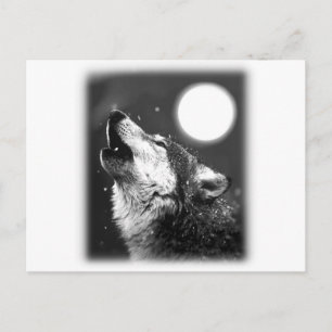 Wolf Howling auf dem Mond Postkarte