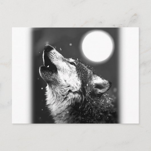 Wolf Howling auf dem Mond Postkarte (Vorderseite)
