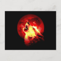 Wolf Howling in der roten Nacht