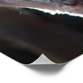 Wolf Howling Lone Wolf Poster (Ecke)