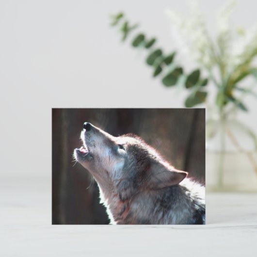 Wolf Howling Lone Wolf Postkarte (Stehend Vorderseite)