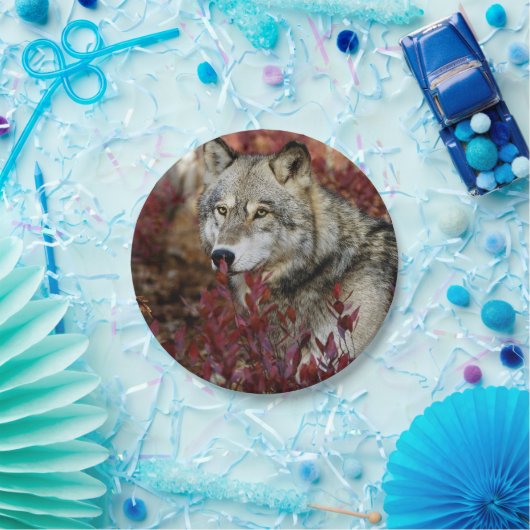 Wolf im Fall Pappteller (Party)