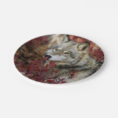 Wolf im Fall Pappteller (Schrägansicht)