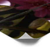 Wolf im Fluss Stehend mit Blume Poster (Ecke)