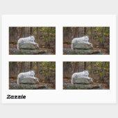 Wolf im Herbst Rechteckiger Aufkleber (Blatt)