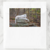 Wolf im Herbst Rechteckiger Aufkleber (Tasche)