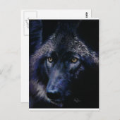Wolf im Mondlicht (a) Postkarte (Vorne/Hinten)
