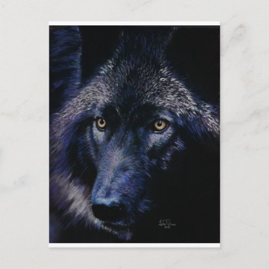 Wolf im Mondlicht (a) Postkarte (Vorderseite)