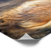 Wolf im Mondlicht Fine Art Poster/Print Poster (Ecke)