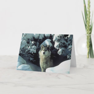 Wolf im Schnee Dankeskarte