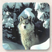Wolf im Schnee Getränkeuntersetzer (Vorderseite)