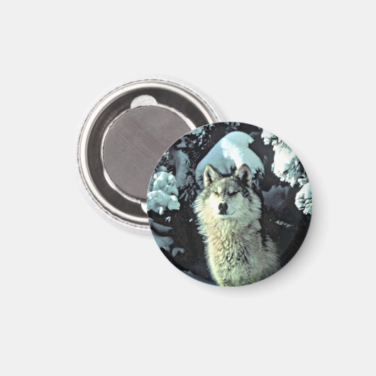 Wolf im Schnee Magnet (Vorderseite/Rückseite)