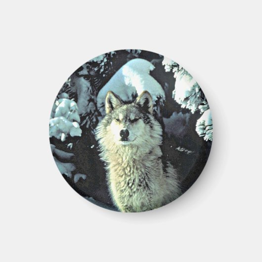 Wolf im Schnee Magnet (Vorne)