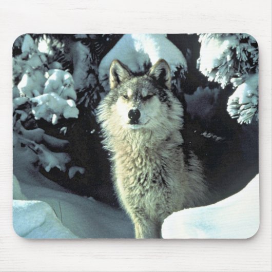Wolf im Schnee Mousepad (Vorne)