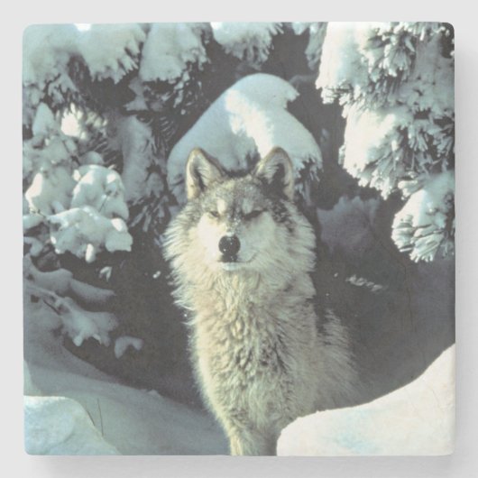 Wolf im Schnee Steinuntersetzer (Vorderseite)