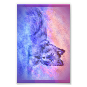 Wolf im schneebedeckten Sonnenuntergang Fotodruck