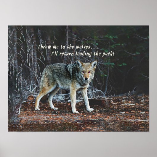 Wolf im Wald bringt Leading Pack zurück Poster (Vorne)