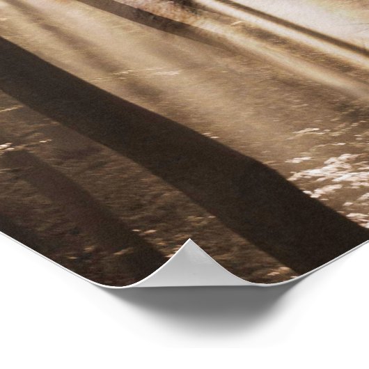 Wolf im Wald gegenüber Poster (Ecke)