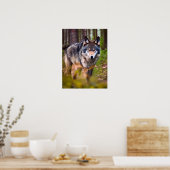 Wolf im Wald Poster (Küche)