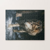Wolf im Wildtier Puzzle (Horizontal)
