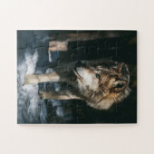 Wolf im Wildtier Puzzle (Horizontal)