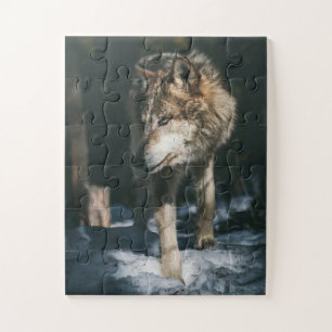 Wolf im Wildtier Puzzle