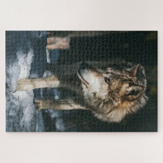 Wolf im Wildtier Puzzle (Horizontal)