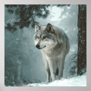 Wolf im Winter Poster