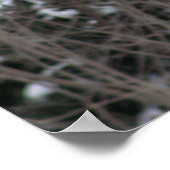 Wolf im Winter Poster (Ecke)