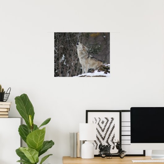 Wolf im Winter Poster (Heimbüro)