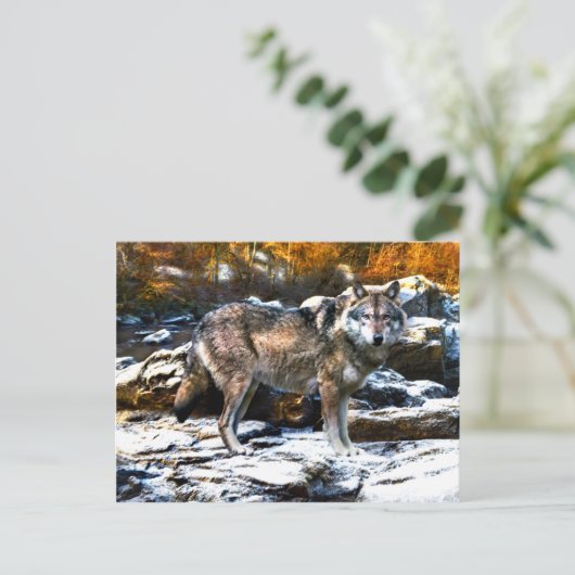 "Wolf im Winter" Postkarte (Stehend Vorderseite)