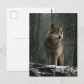 Wolf im Winter Postkarte (Vorne/Hinten)