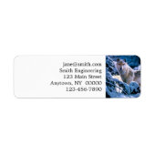 Wolf im Winter Waldmalerei (Vorne)