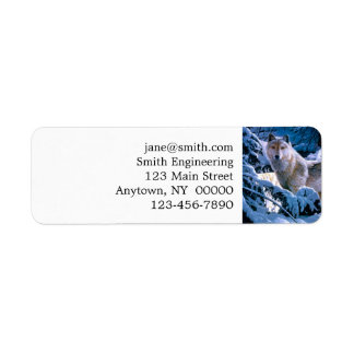 Wolf im Winter Waldmalerei