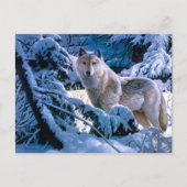 Wolf im Winter Waldmalerei Postkarte (Vorderseite)