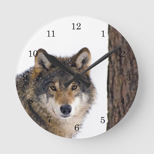 Wolf im Winterschnee Runde Wanduhr (Vorderseite)
