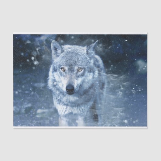Wolf in Blizzard Seidenpapier (Vorderseite)