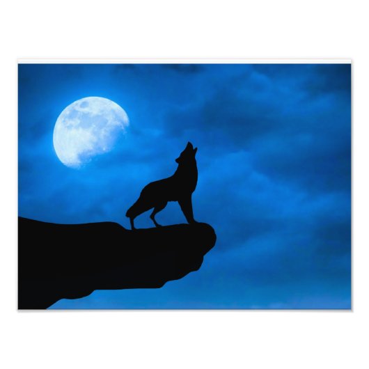 Wolf in der Nacht Fotodruck (Vorne)