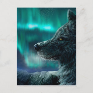 Wolf in der Nacht Postkarte