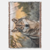 Wolf in der Natur Decke (Vorderseite Vertikal)