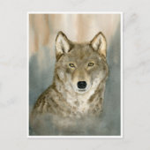 Wolf in der Nebelwalderfarbe Postkarte (Vorderseite)