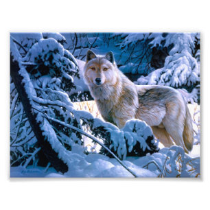 Wolf in der Winterwaldmalerei Fotodruck