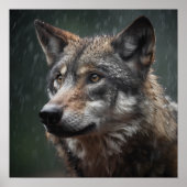 Wolf in einer Tierkabine im Regensturm Poster (Vorne)