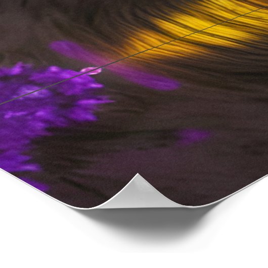 Wolf in Lila Reflexion Poster (Ecke)