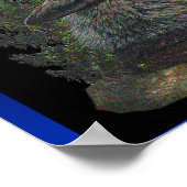 Wolf in Nachtposter Poster (Ecke)