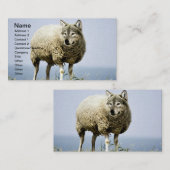 Wolf in Schafbekleidung Visitenkarte (Vorne/Hinten)