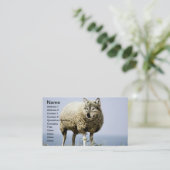 Wolf in Schafbekleidung Visitenkarte (Stehend Vorderseite)