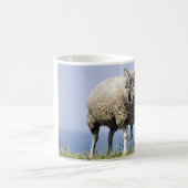 Wolf in sheeps clothing kaffeetasse (Mittel)