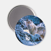 Wolf in the winter forest painting magnet (Vorderseite/Rückseite)